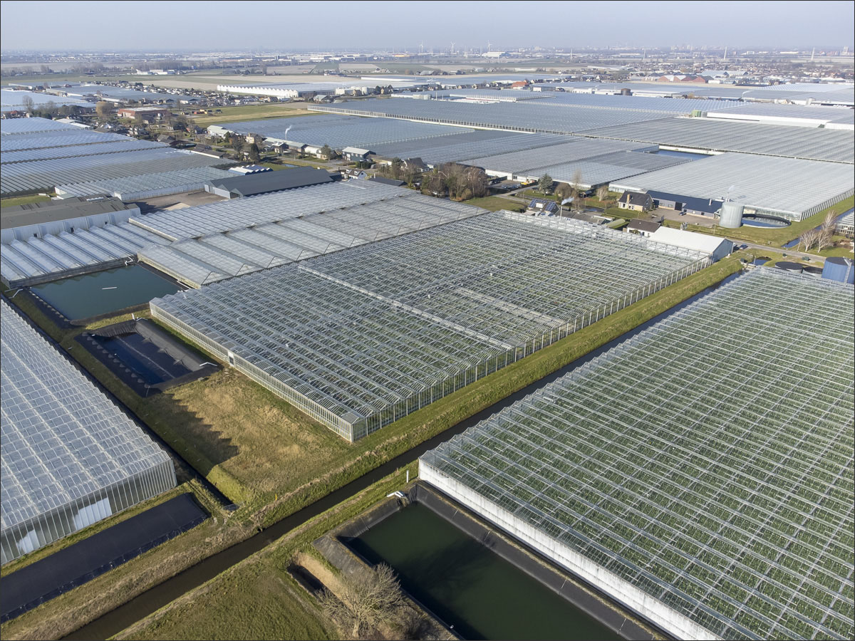 fotografie glastuinbouw
