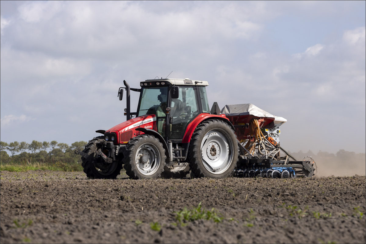 fotografie biologische bloembollenteelt
