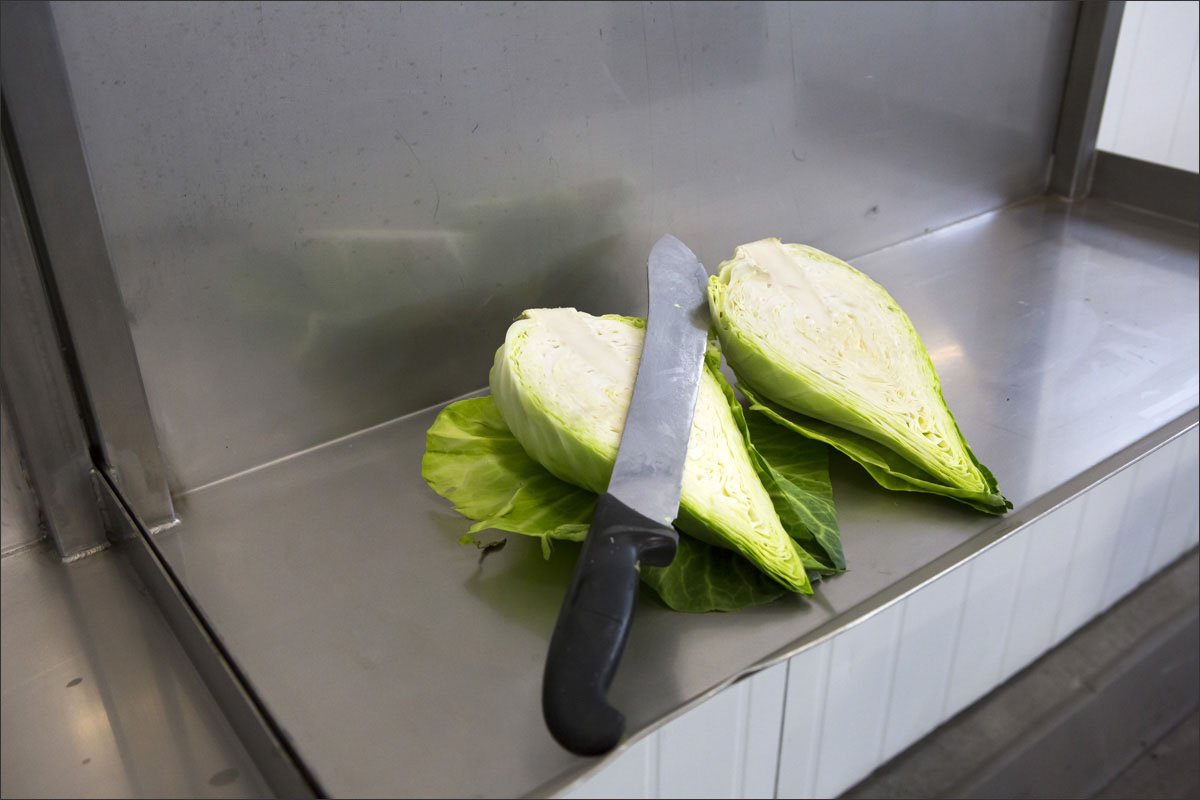 fotografie vollegrondgroenteteelt